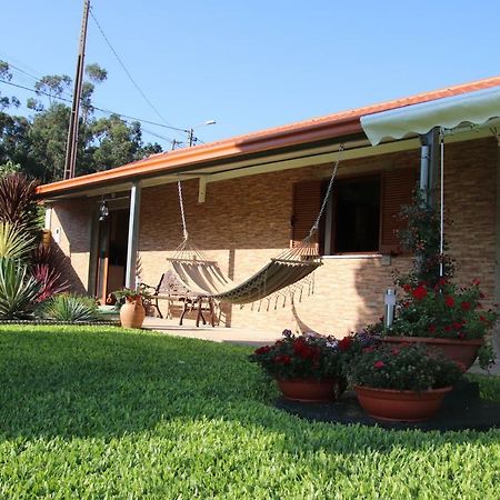 蓬德利马 Casa Flor Da Laranjeira旅馆 外观 照片